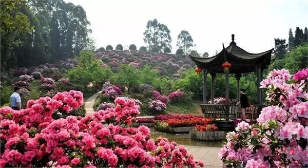 绵阳药王谷旅游攻略-绵阳攻略(图10) 绵阳攻略_绵阳药王谷好玩吗_绵阳药王谷旅游攻略