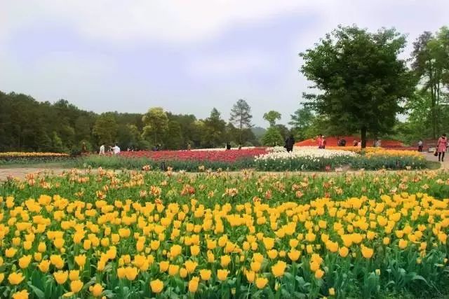 绵阳药王谷旅游攻略-绵阳攻略(图13) 绵阳攻略_绵阳药王谷好玩吗_绵阳药王谷旅游攻略