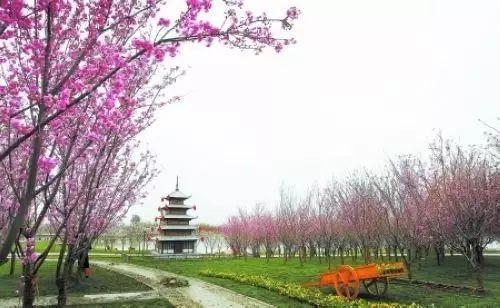 绵阳药王谷旅游攻略-绵阳攻略(图16) 绵阳药王谷旅游攻略_绵阳药王谷好玩吗_绵阳攻略