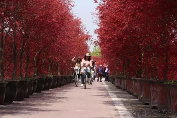 绵阳药王谷旅游攻略-绵阳攻略(图20) 绵阳攻略_绵阳药王谷好玩吗_绵阳药王谷旅游攻略