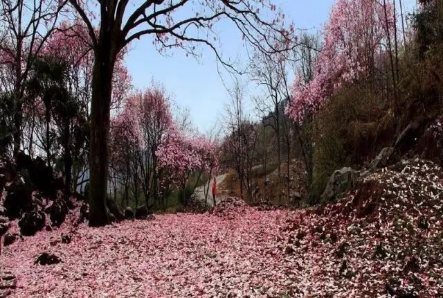 绵阳药王谷旅游攻略-绵阳攻略(图3) 绵阳药王谷旅游攻略_绵阳药王谷好玩吗_绵阳攻略