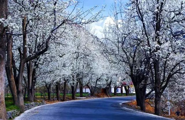 绵阳药王谷旅游攻略-绵阳攻略(图5) 绵阳药王谷好玩吗_绵阳药王谷旅游攻略_绵阳攻略