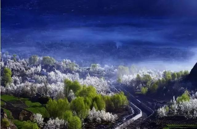 绵阳药王谷旅游攻略-绵阳攻略(图7) 绵阳攻略_绵阳药王谷旅游攻略_绵阳药王谷好玩吗