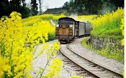 绵阳药王谷旅游攻略-绵阳攻略(图9) 绵阳药王谷旅游攻略_绵阳药王谷好玩吗_绵阳攻略