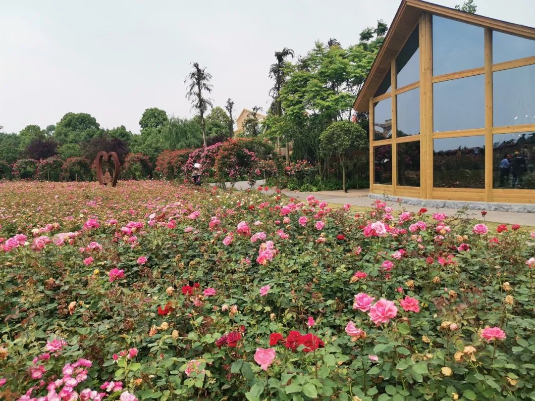 攻略重庆旅游的地方_攻略重庆旅游景点路线_重庆一日旅游攻略