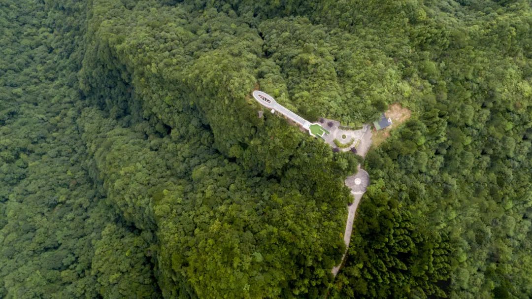 重庆一日旅游攻略_攻略重庆旅游的地方_攻略重庆旅游景点路线