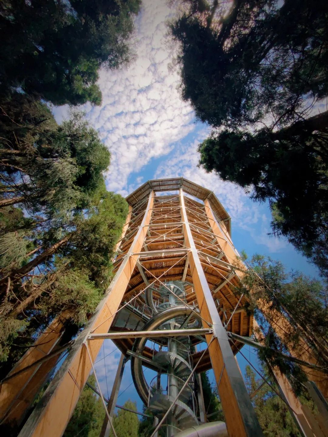 攻略重庆旅游的地方_重庆一日旅游攻略_攻略重庆旅游景点路线