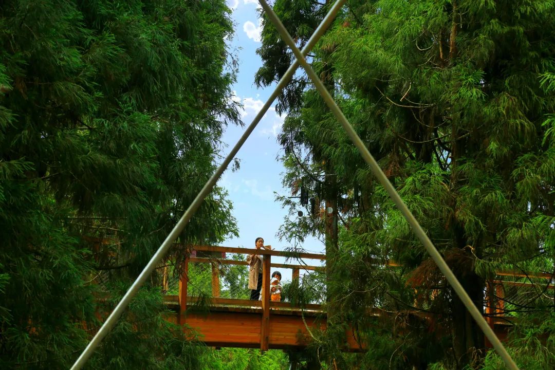 攻略重庆旅游的地方_重庆一日旅游攻略_攻略重庆旅游景点路线