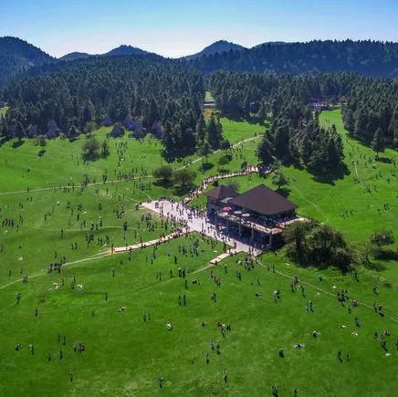 攻略重庆旅游景点路线_攻略重庆旅游的地方_重庆一日旅游攻略