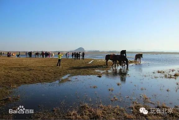 北京崂山一日游_北京崂山旅游攻略_崂山旅游路线攻略