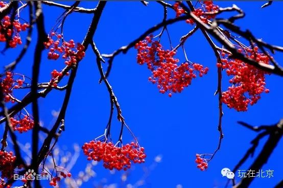 崂山旅游路线攻略_北京崂山旅游攻略_北京崂山一日游