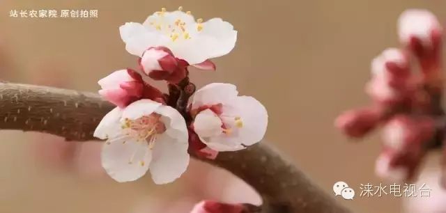 涞水野三坡景区_涞水野三坡景区门票_涞水野三坡旅游攻略