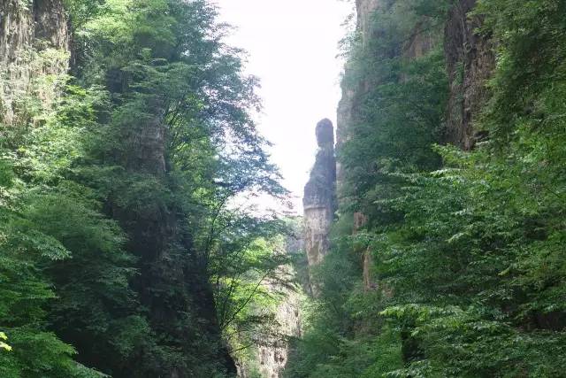 涞水野三坡景区门票_涞水野三坡景区_涞水野三坡旅游攻略