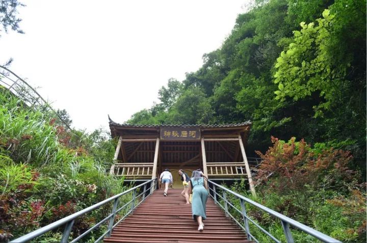 宜昌百里荒门票多少钱_宜昌百里荒旅游攻略_宜昌旅游景点百里荒