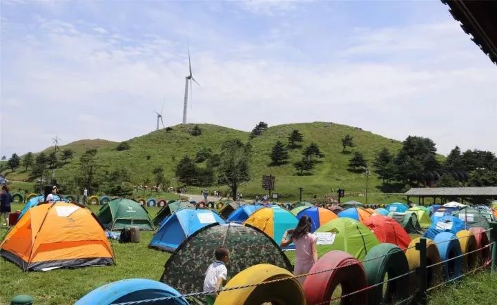 宜昌旅游景点百里荒_宜昌百里荒旅游攻略_宜昌百里荒门票多少钱