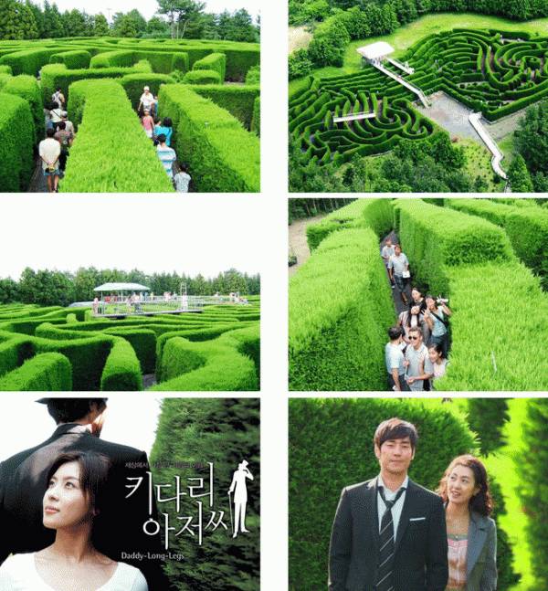 济州岛旅游攻略相关推荐_济州岛好玩的_济州岛旅游价格