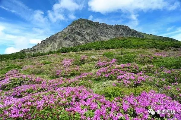 济州岛好玩的_济州岛旅游攻略相关推荐_济州岛旅游价格