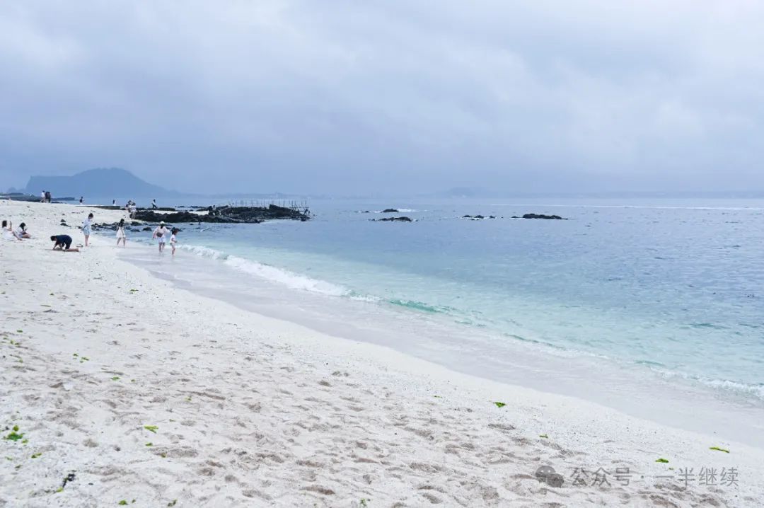 济州岛打卡地_济州岛旅游攻略相关推荐_济州岛好玩的