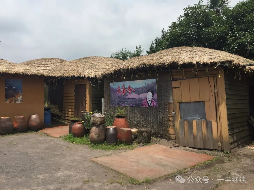 济州岛打卡地_济州岛旅游攻略相关推荐_济州岛好玩的