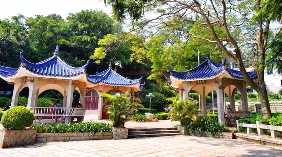 冬天的鼓浪屿景色描写_鼓浪屿旅游攻略冬天_鼓浪屿冬季气温情况