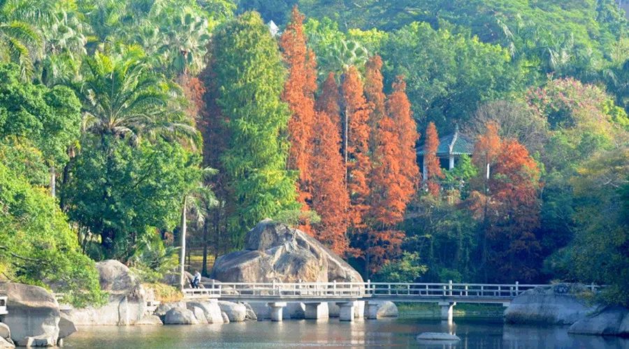冬天的鼓浪屿景色描写_鼓浪屿旅游攻略冬天_鼓浪屿冬季气温情况