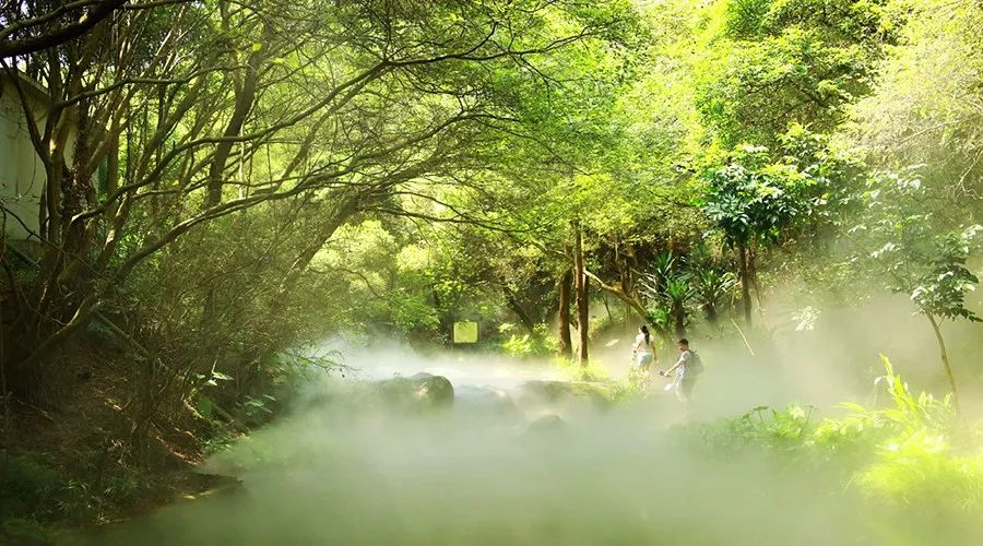 鼓浪屿冬季气温情况_冬天的鼓浪屿景色描写_鼓浪屿旅游攻略冬天