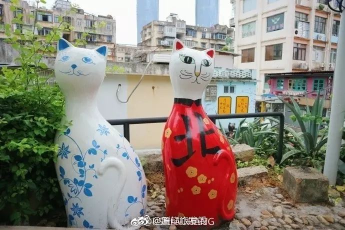 鼓浪屿旅游攻略冬天-冬季鼓浪屿(图15) 冬季鼓浪屿_鼓浪屿旅游攻略冬天_鼓浪屿冬季旅游攻略