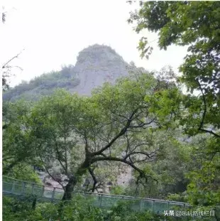 大金湖旅游攻略-2014杭州百强企业(图23) 九几年幼儿园收费_大金湖旅游攻略_2014杭州百强企业