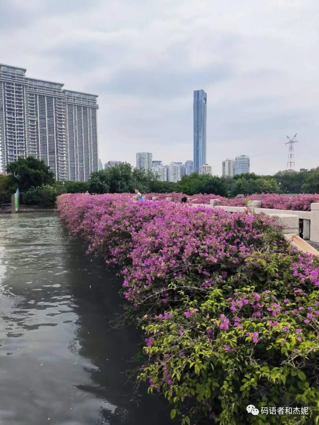 鼓浪屿旅游攻略冬天_鼓浪屿冬季气温情况_冬天鼓浪屿冷不冷