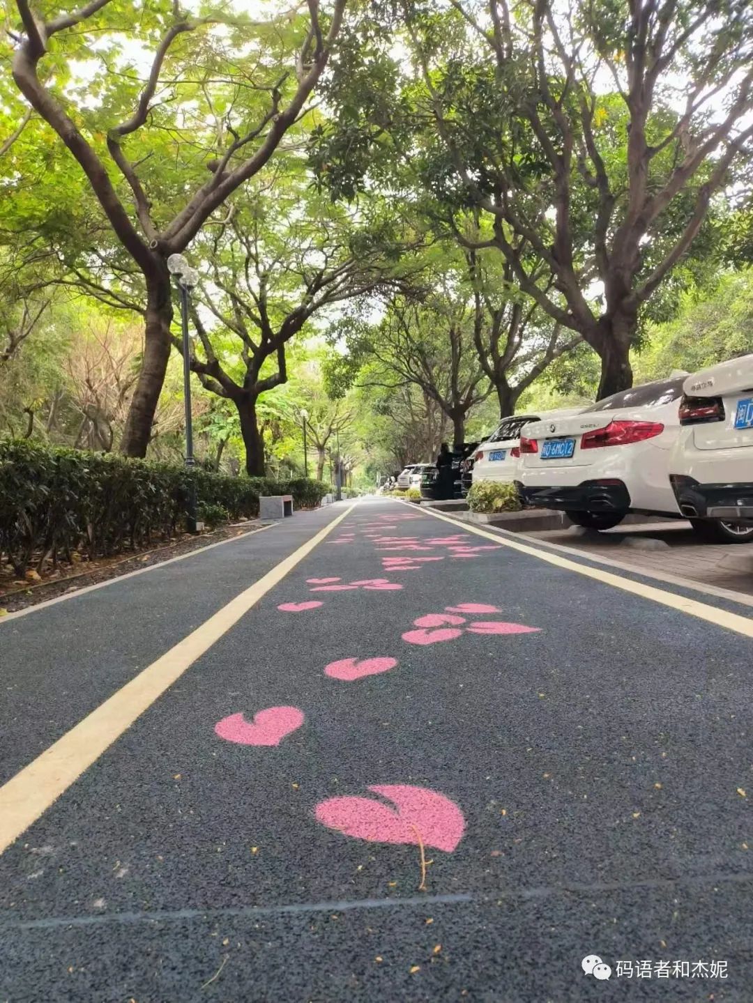 鼓浪屿旅游攻略冬天_鼓浪屿冬季气温情况_冬天鼓浪屿冷不冷