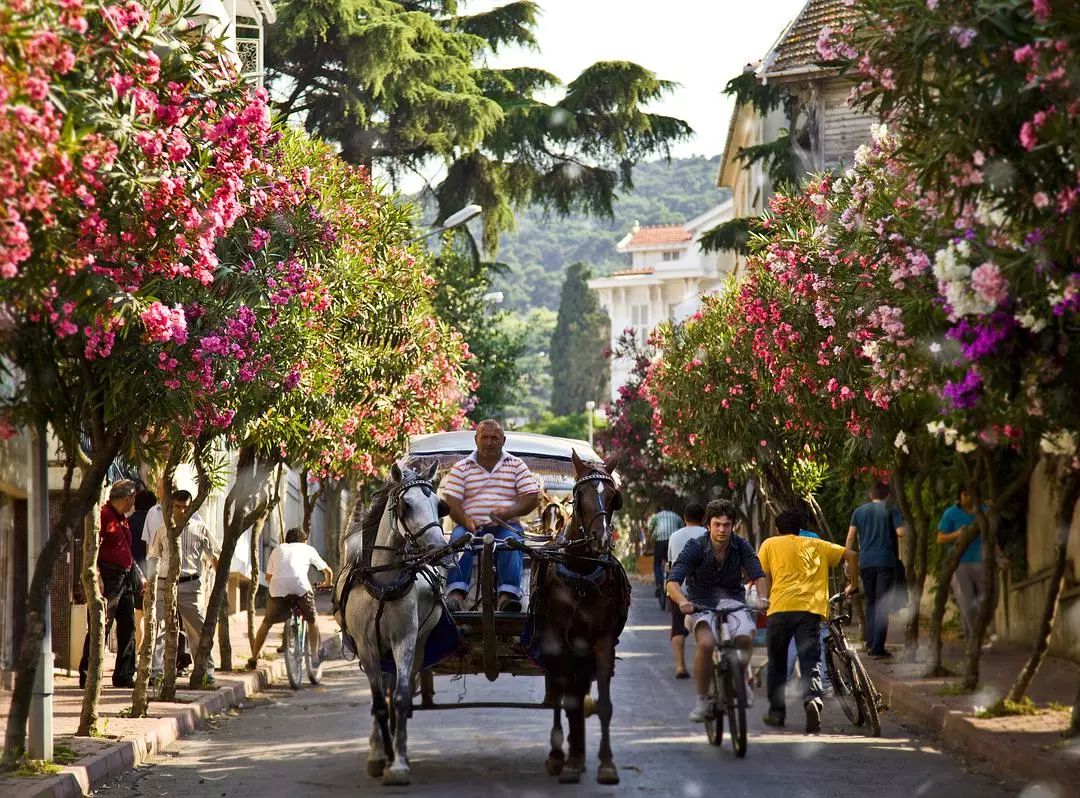 伊斯坦布尔旅游攻略_伊斯坦布尔的旅游景点_伊斯坦布尔有啥好玩的