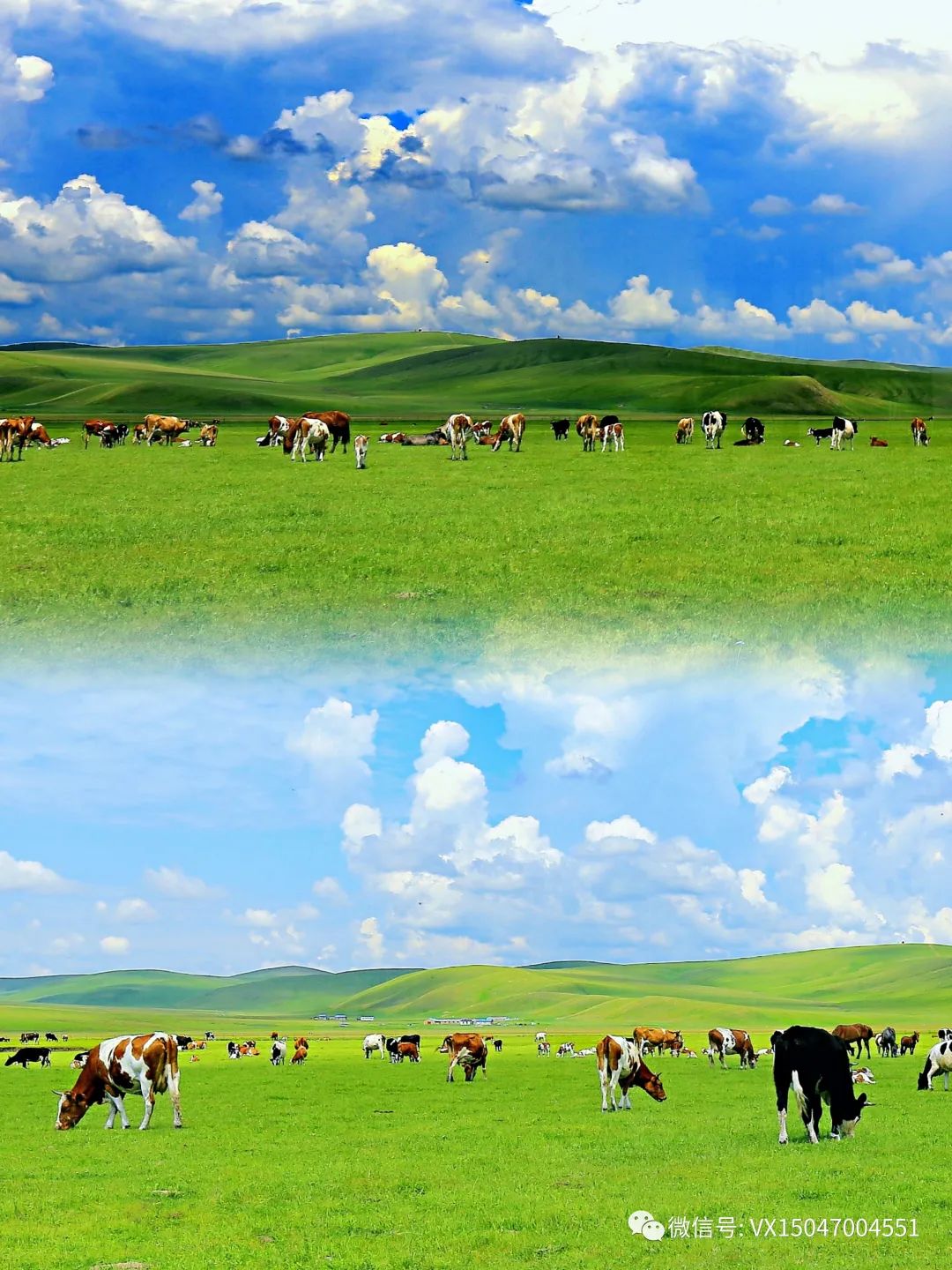 呼伦贝尔室韦旅游攻略-呼伦贝尔旅游项目