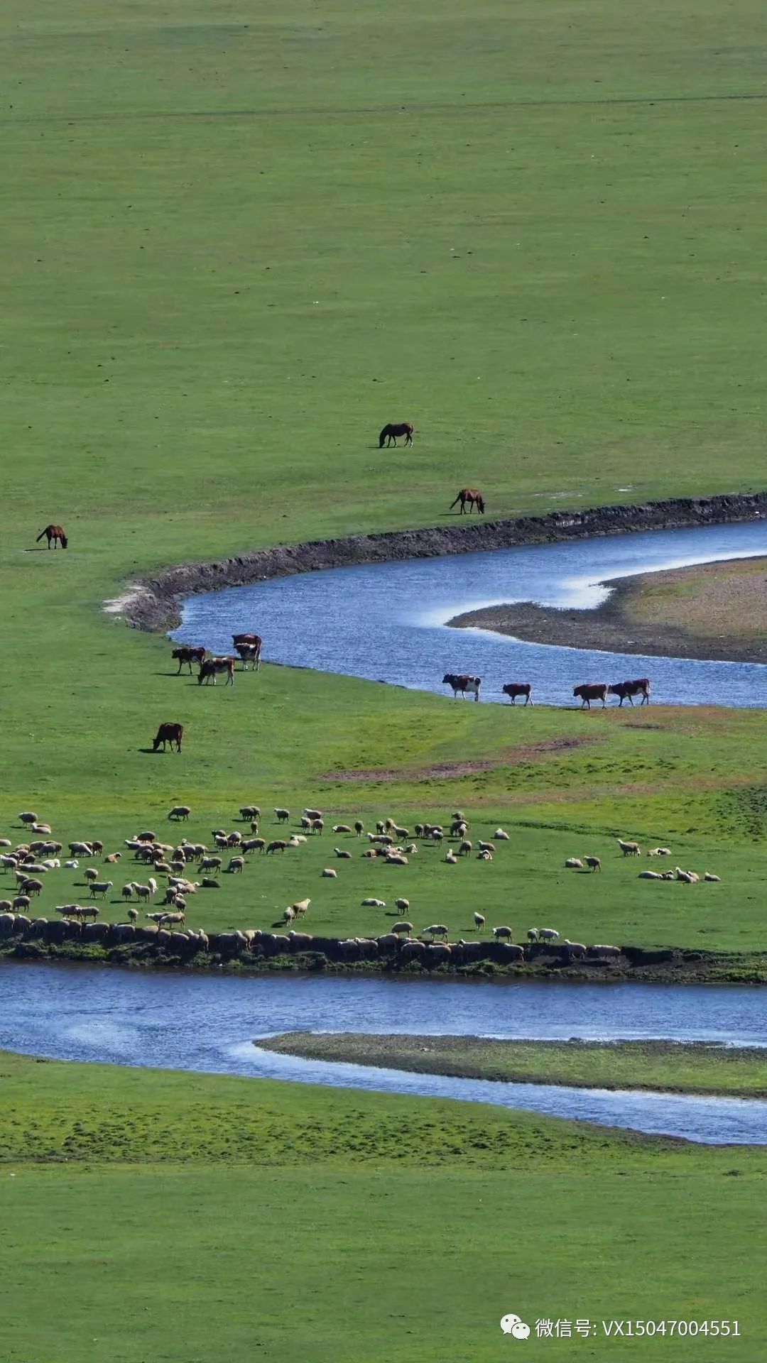 呼伦贝尔旅游项目_呼伦贝尔室韦旅游攻略_呼伦贝尔旅行