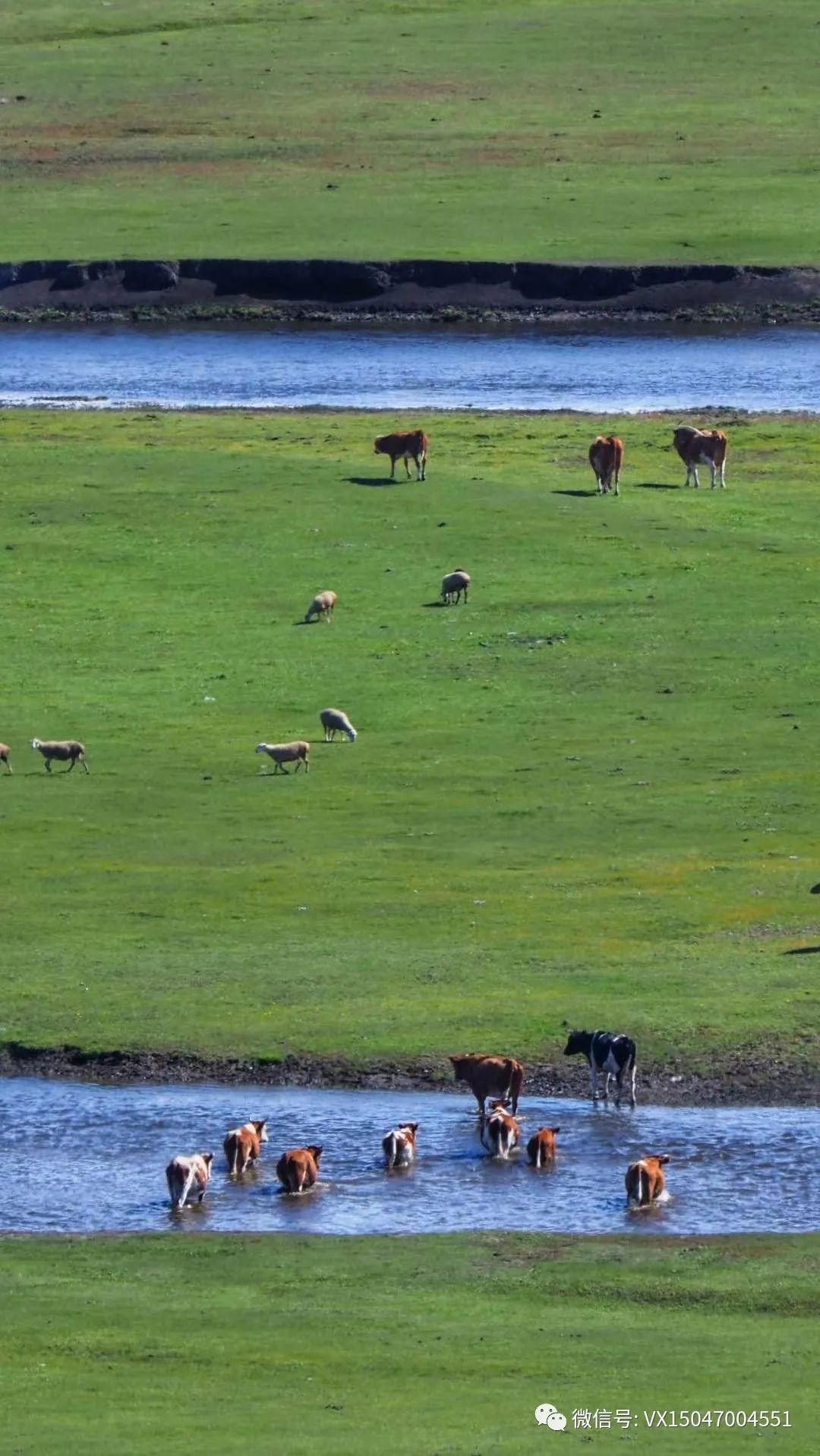 呼伦贝尔旅游项目_呼伦贝尔旅行_呼伦贝尔室韦旅游攻略