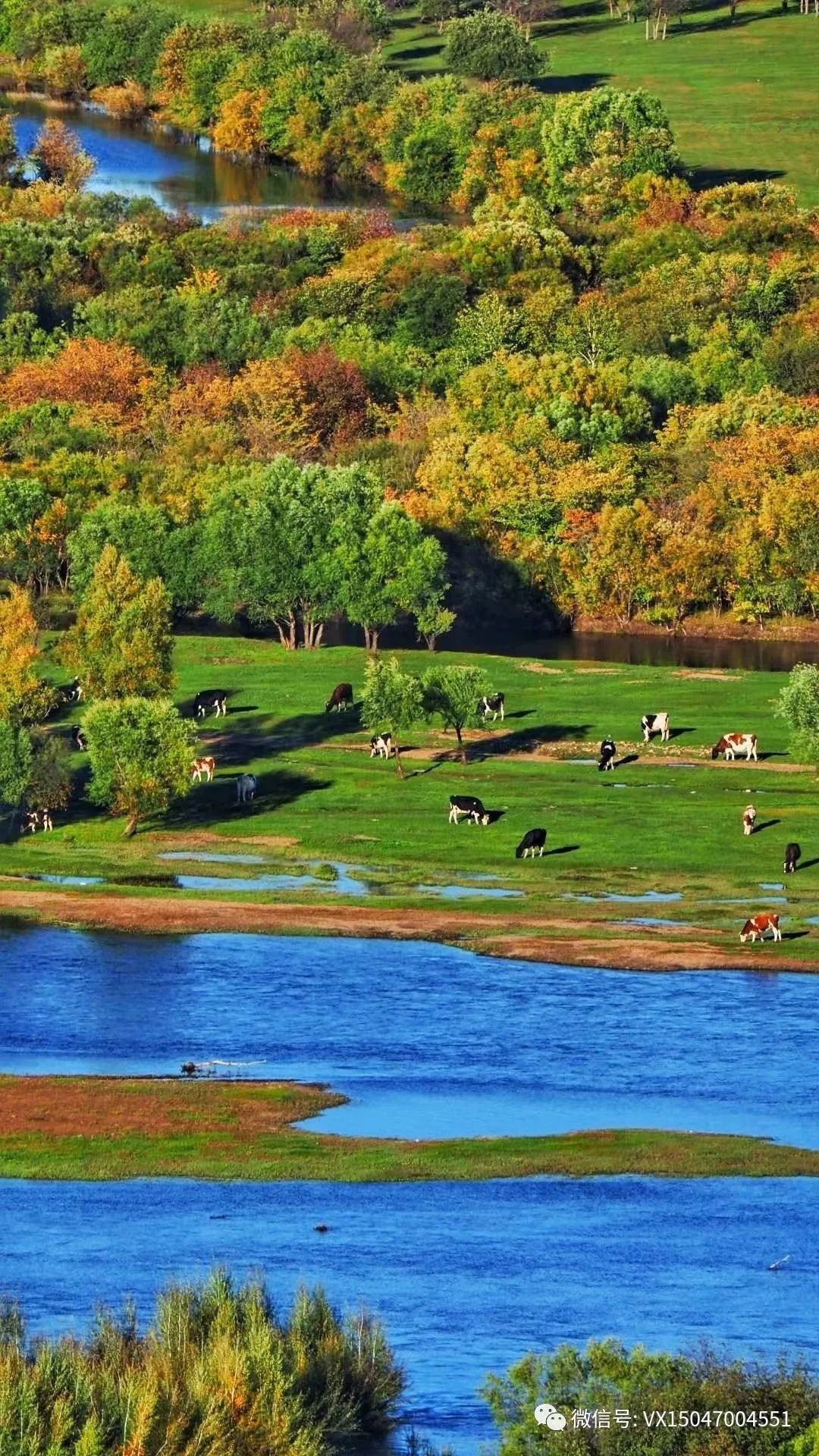 呼伦贝尔室韦旅游攻略_呼伦贝尔旅游项目_呼伦贝尔旅行