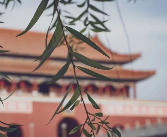 鼓浪屿旅游攻略冬天_冬季鼓浪屿_鼓浪屿冬季气温情况