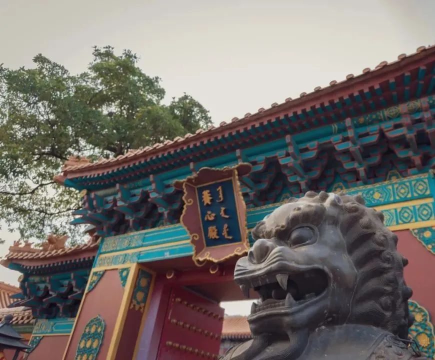 冬季鼓浪屿_鼓浪屿冬季气温情况_鼓浪屿旅游攻略冬天