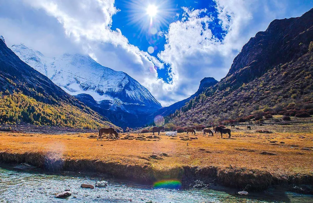 兰州去沙漠最近怎么走_兰州到沙湖旅游攻略_兰州到沙湖开车几个小时