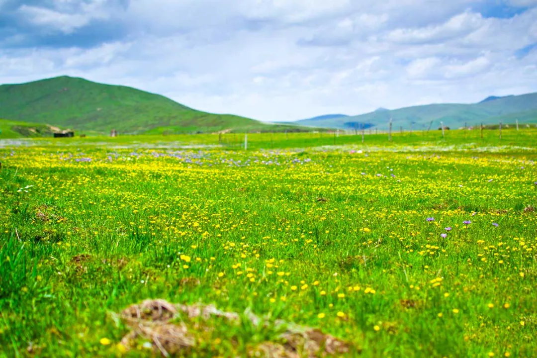 兰州到沙湖旅游攻略_兰州到沙湖开车几个小时_兰州去沙漠最近怎么走