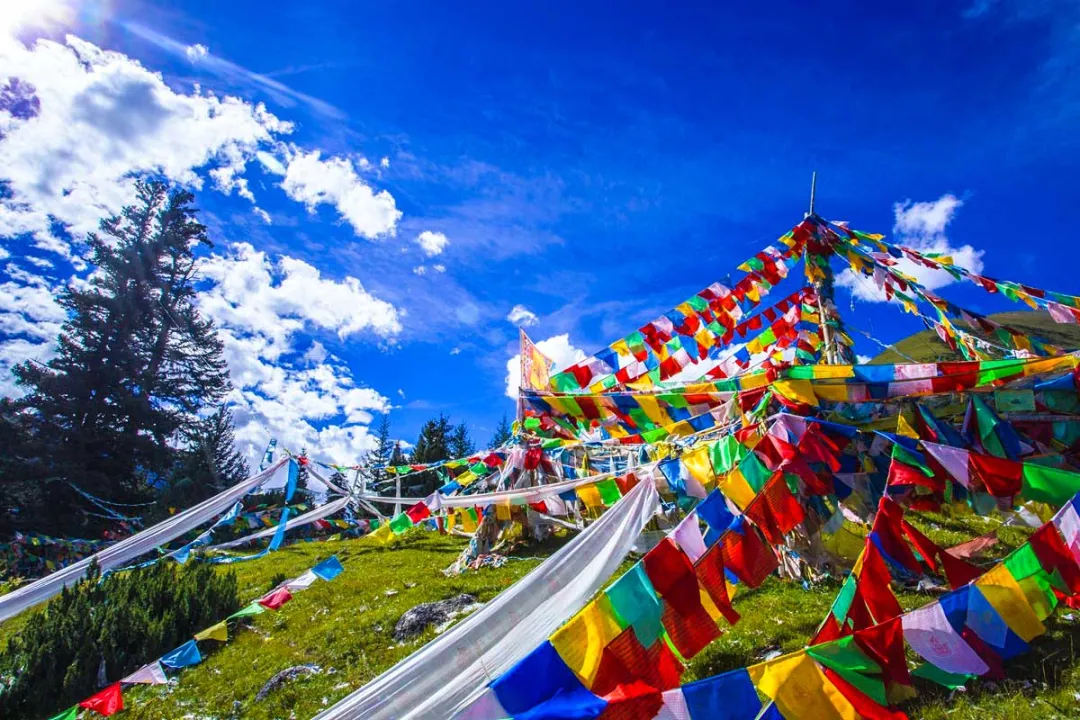 兰州去沙漠最近怎么走_兰州到沙湖旅游攻略_兰州到沙湖开车几个小时