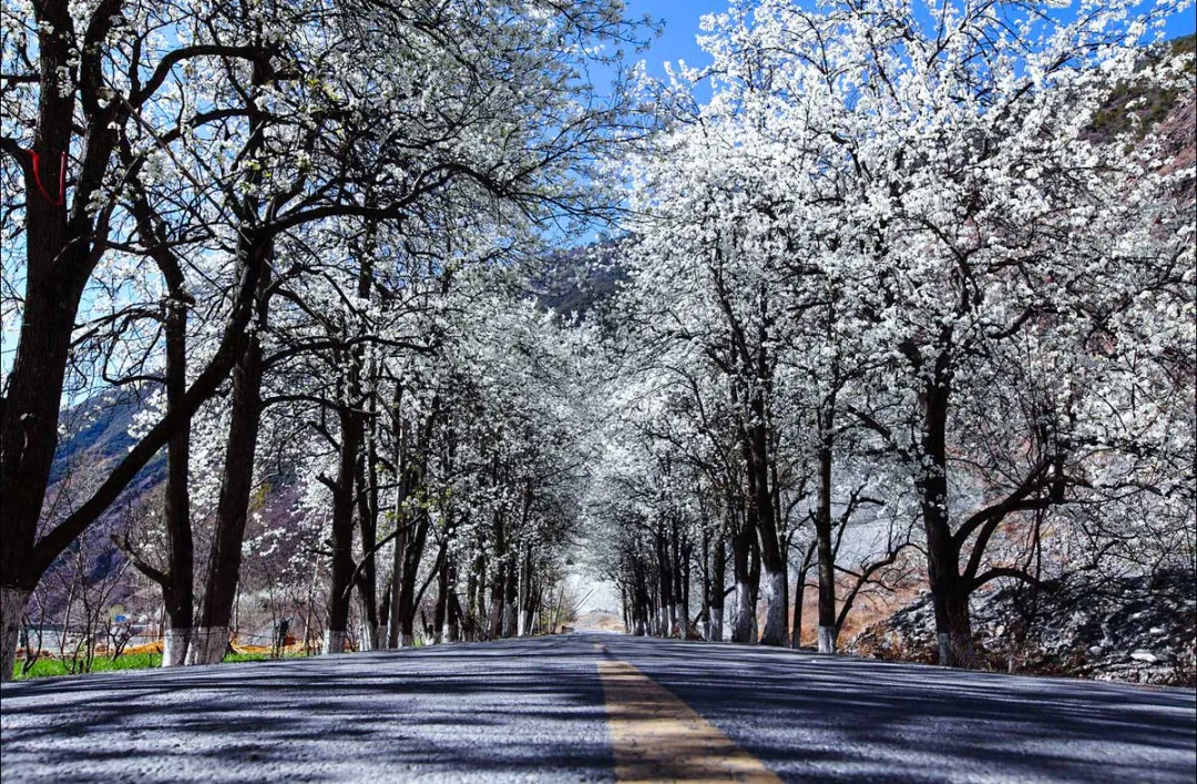兰州到沙湖开车几个小时_兰州到沙湖旅游攻略_兰州去沙漠最近怎么走