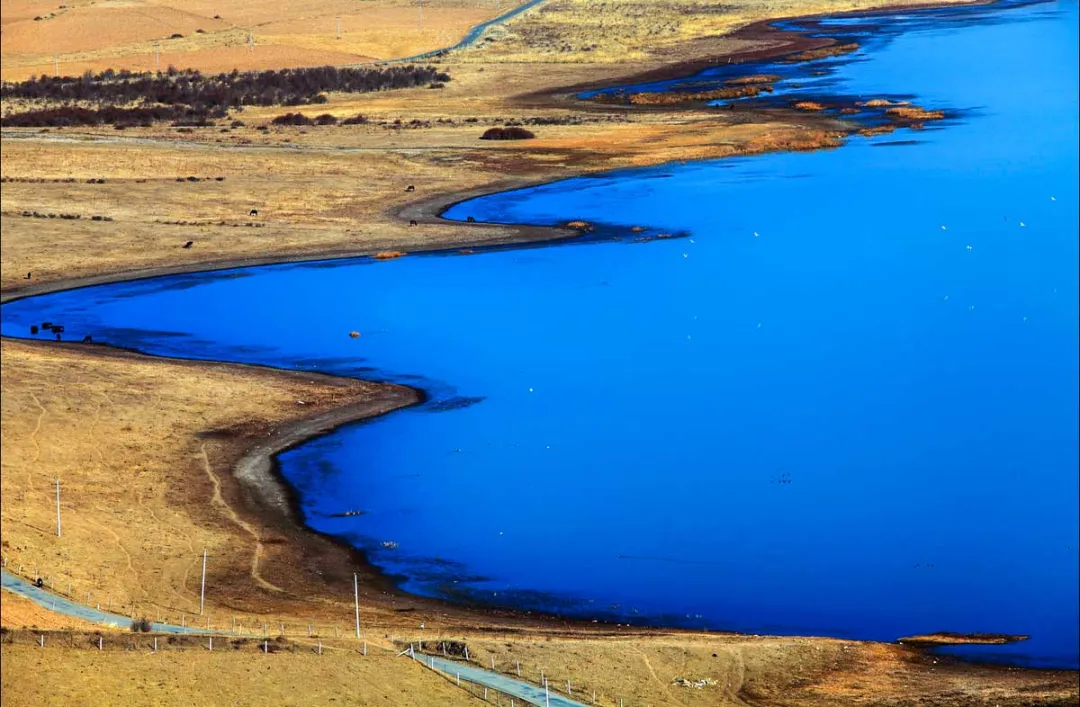 兰州去沙漠最近怎么走_兰州到沙湖开车几个小时_兰州到沙湖旅游攻略