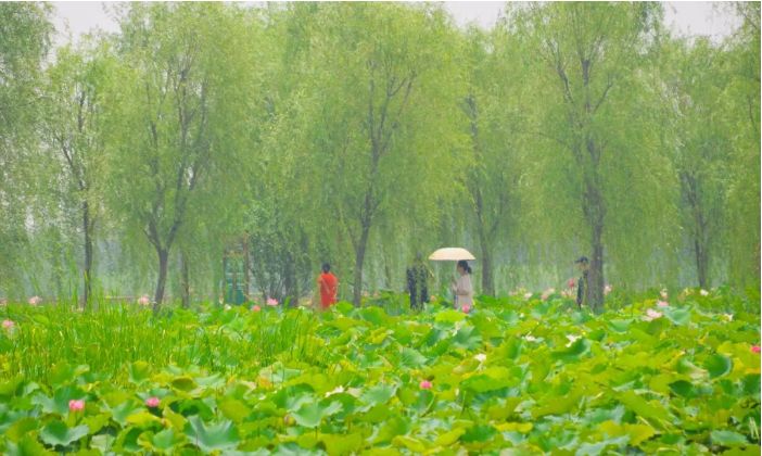 窑湾古镇旅游攻略_窑湾古镇能玩多久_古镇窑湾在哪里