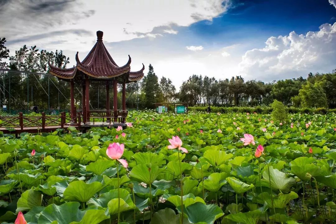 窑湾古镇能玩多久_窑湾古镇旅游攻略_古镇窑湾在哪里