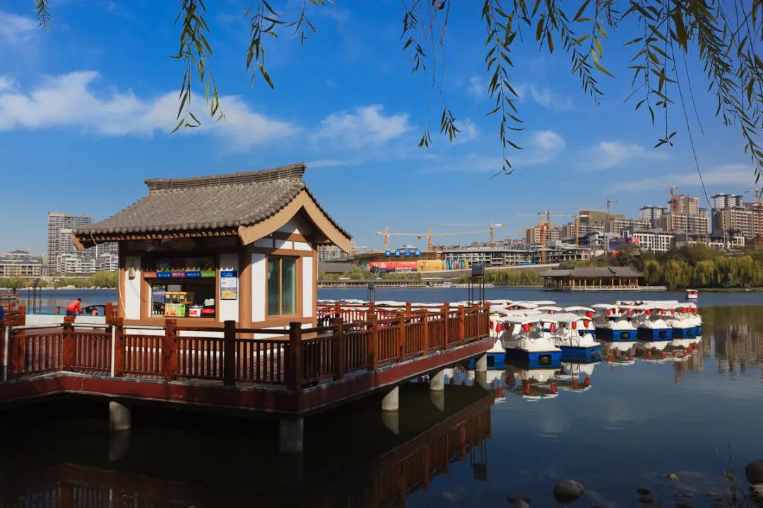 兰州到沙湖旅游攻略-兰州到沙湖怎么坐车(图14) 兰州到沙湖开车几个小时_兰州到沙湖旅游攻略_兰州到沙湖怎么坐车