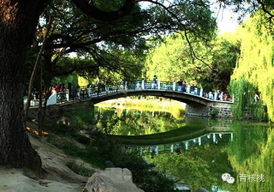 内蒙古呼和浩特旅游攻略_内蒙呼和浩特旅游攻略_内蒙呼和浩特旅游景点大全