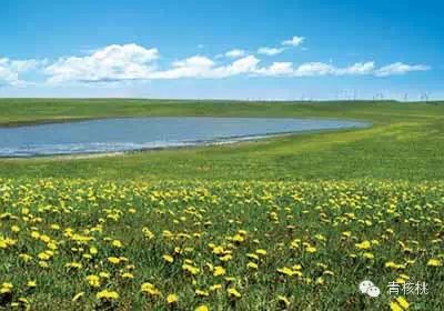 内蒙呼和浩特旅游景点大全_内蒙古呼和浩特旅游攻略_内蒙呼和浩特旅游攻略