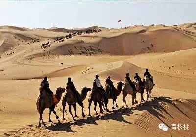 内蒙呼和浩特旅游景点大全_内蒙呼和浩特旅游攻略_内蒙古呼和浩特旅游攻略