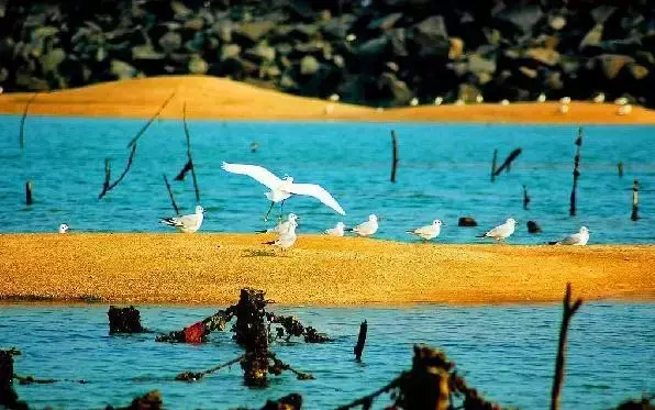 天津到南戴河旅游团_天津到南戴河旅游攻略_天津南戴河自驾游路线