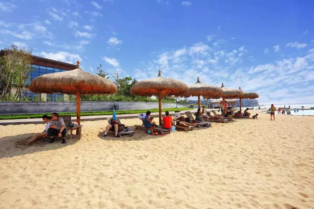 天津南戴河自驾游路线_天津到南戴河旅游攻略_天津到南戴河旅游团